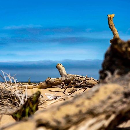 Shipwreck Lodge Mowebaai Dış mekan fotoğraf