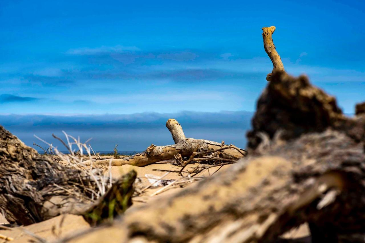 Shipwreck Lodge Mowebaai Dış mekan fotoğraf